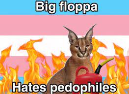 Big Floppa hates pedophiles.jpeg