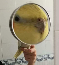 707168