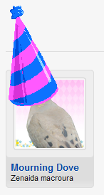 birthdayhat.png