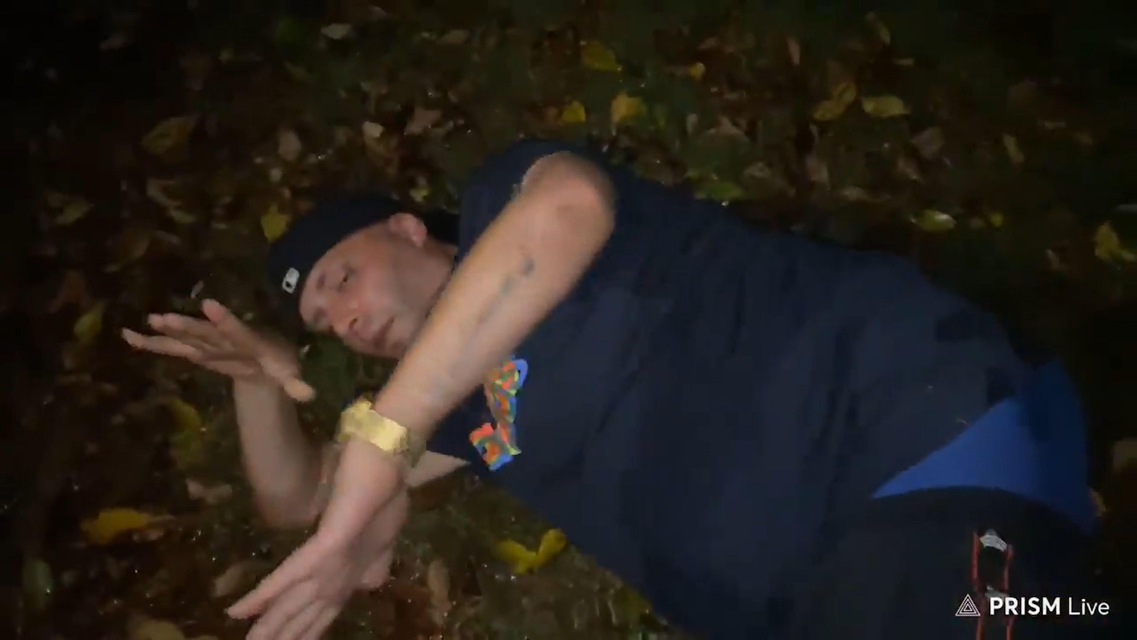 bladefalls.png