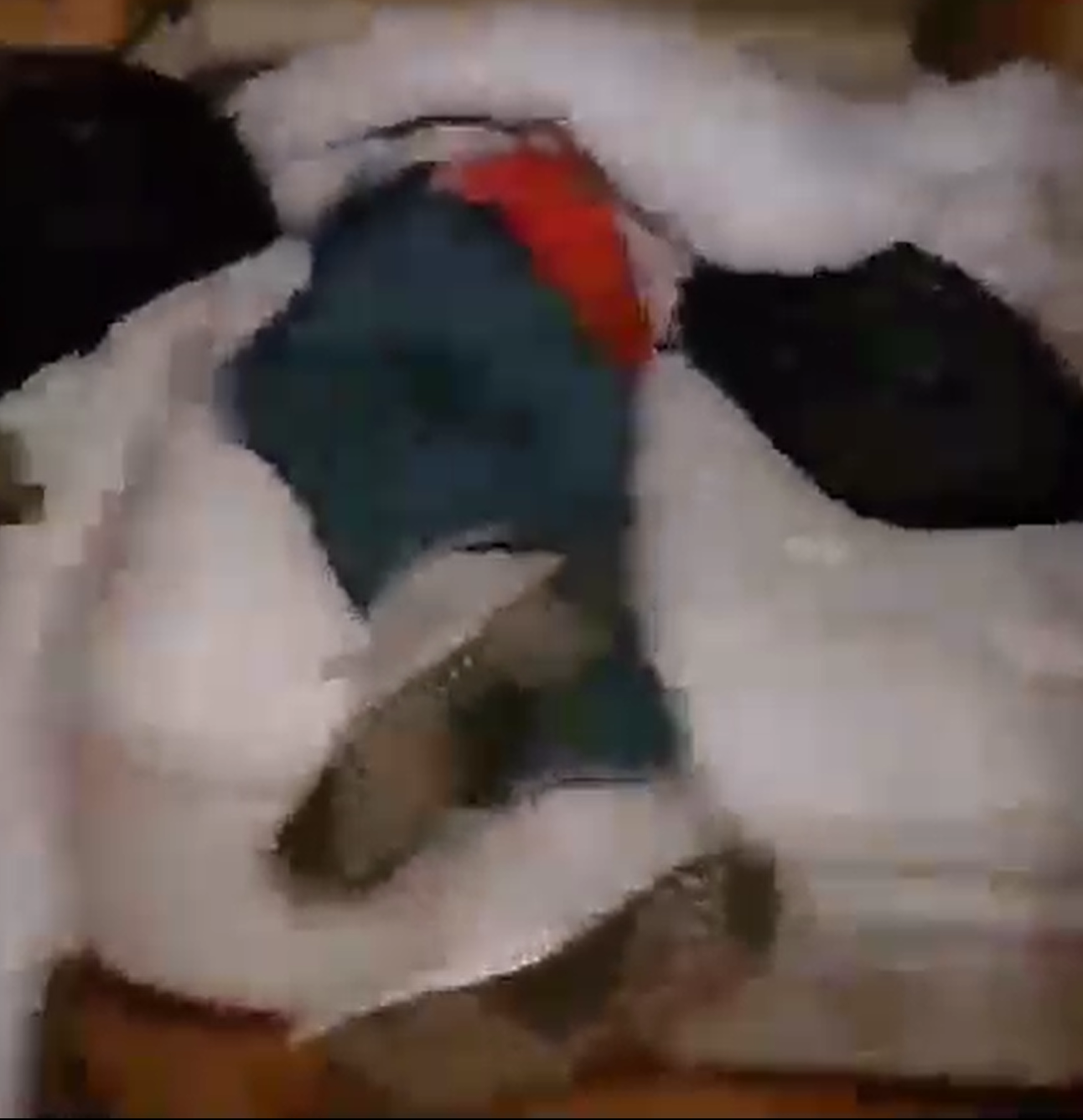 bladepassedout.png