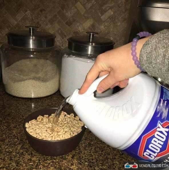 bleach.jpg