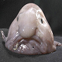 Blobfish_face.png