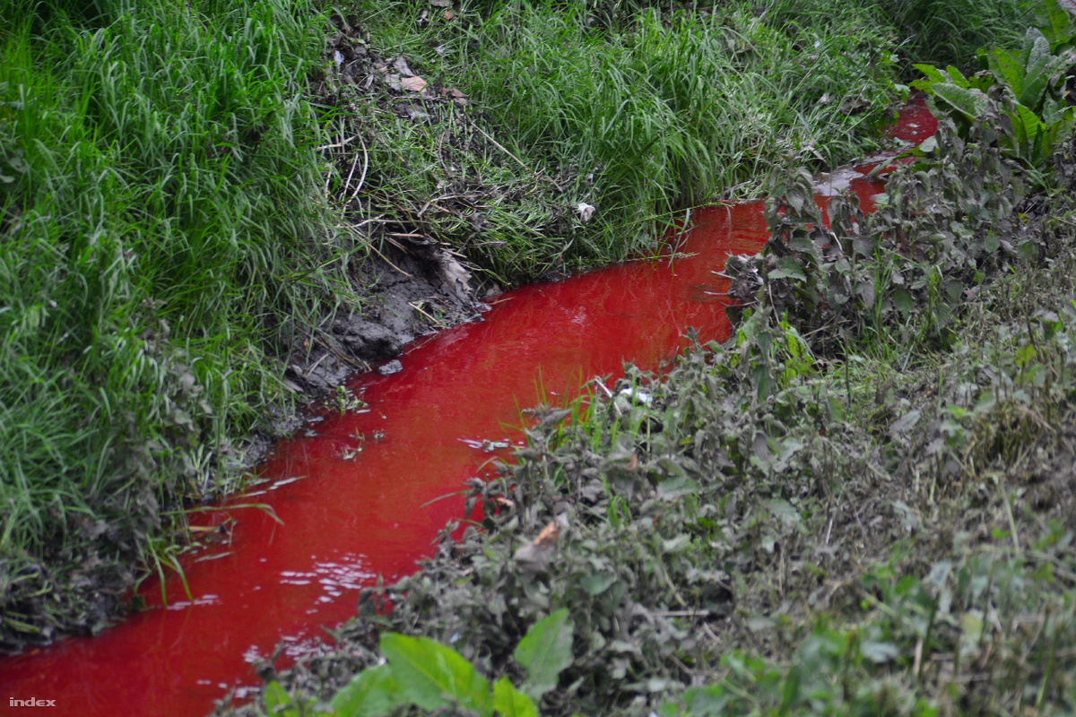 blood stream.jpg