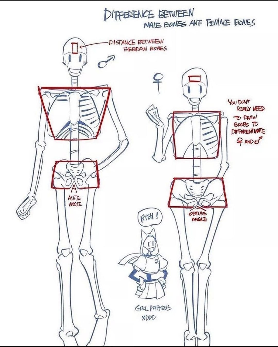 bones.jpeg