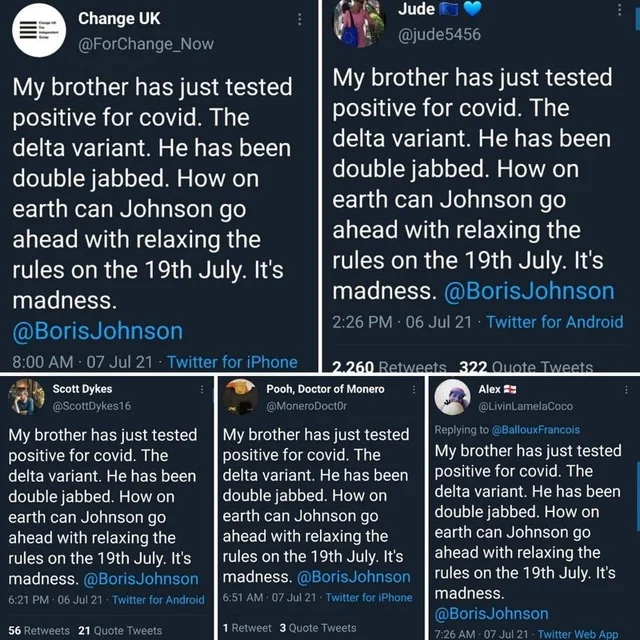bots.png