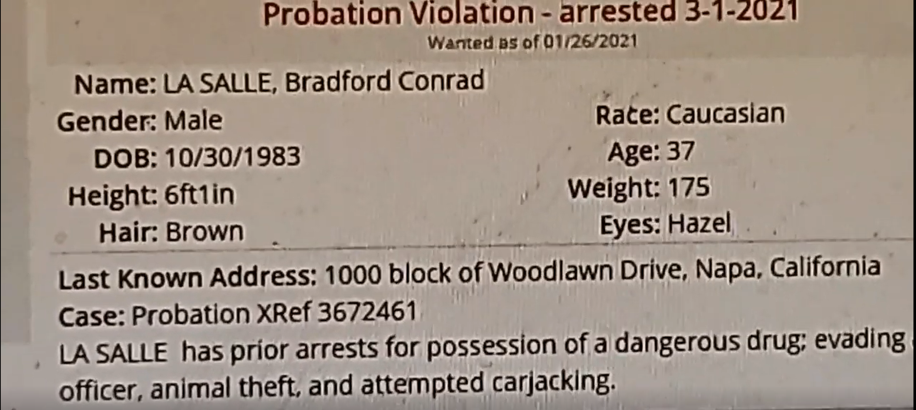 bradprobation.png
