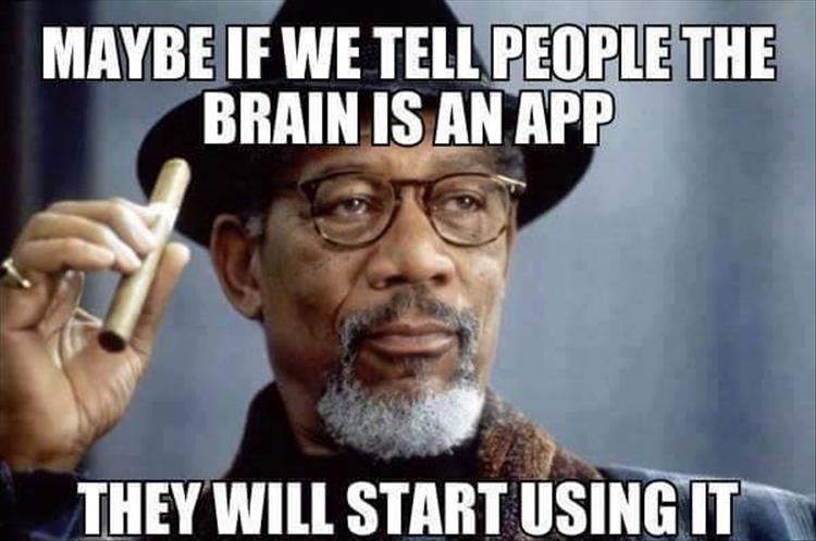 Brain is an App.jpg