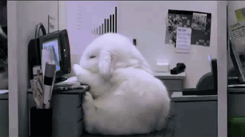 bunny_computer_bluh.gif