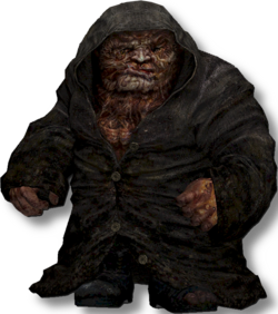 Burer_model.png