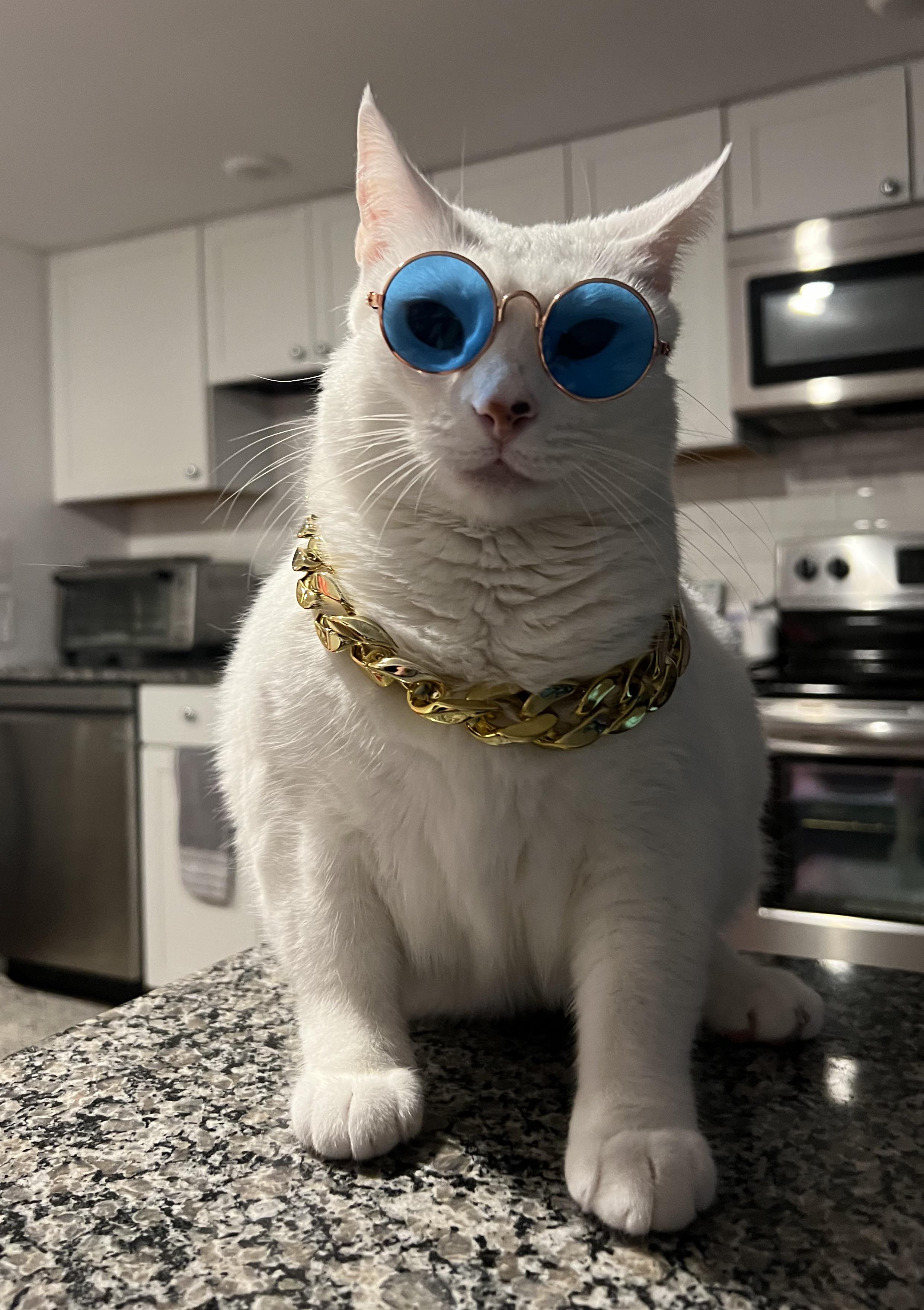 c.jpg