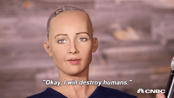 C102804B-8D3C-4F21-8248-4DFAACA4BCDC.gif