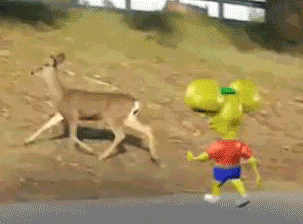 c7fe0284df71b118a42e9072bc7dfdc9.gif