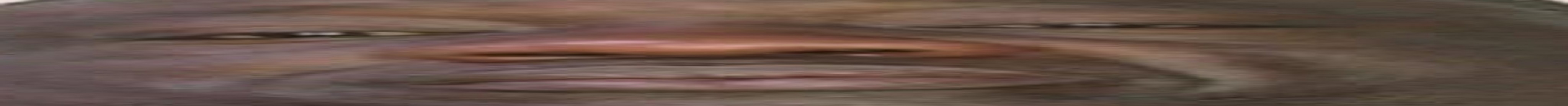 c9707f7570040ea9e82ea0b14129b108.jpeg