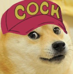 c9c.jpeg