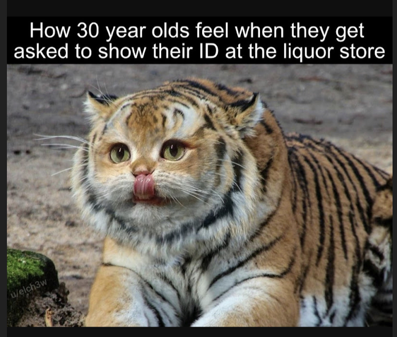 C9FDC6FA-2492-4252-A011-BF67F082117A.jpeg