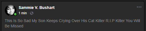 Capture.PNG