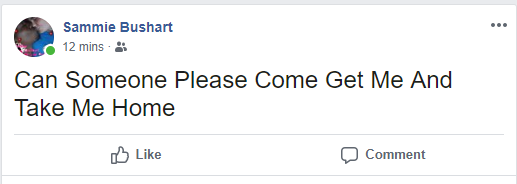 Capture.PNG