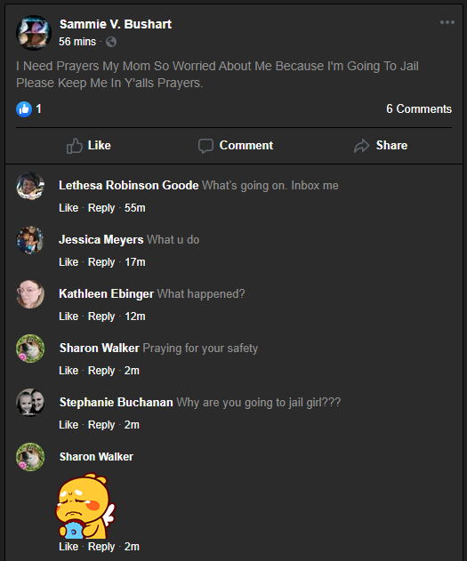 Capture1.PNG