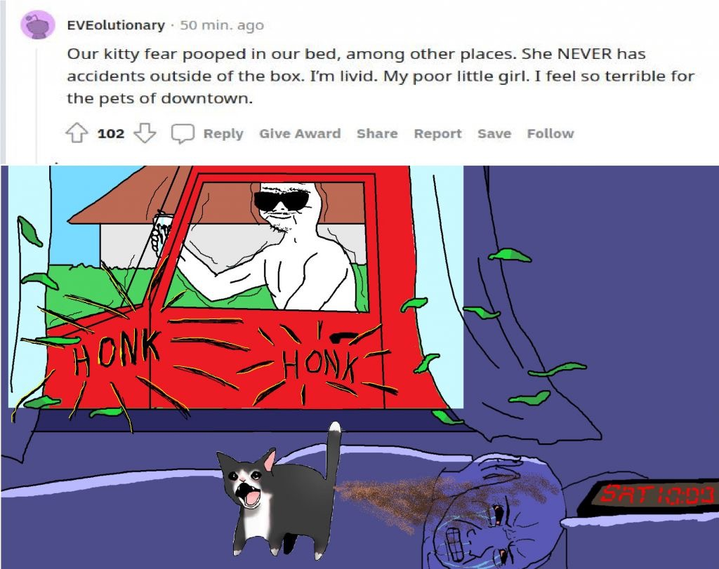 cat-keeps-shitting.png
