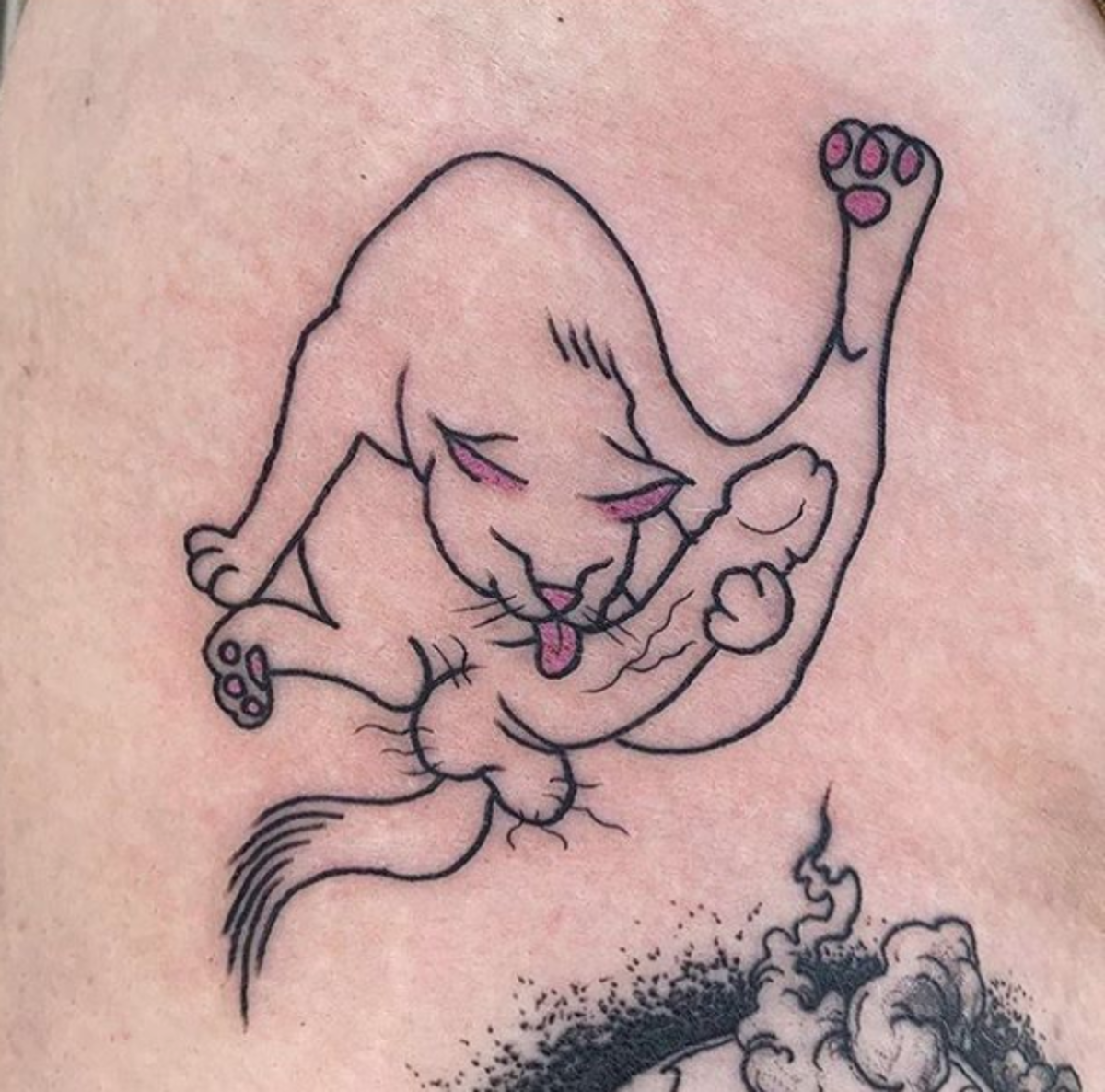 cat.png