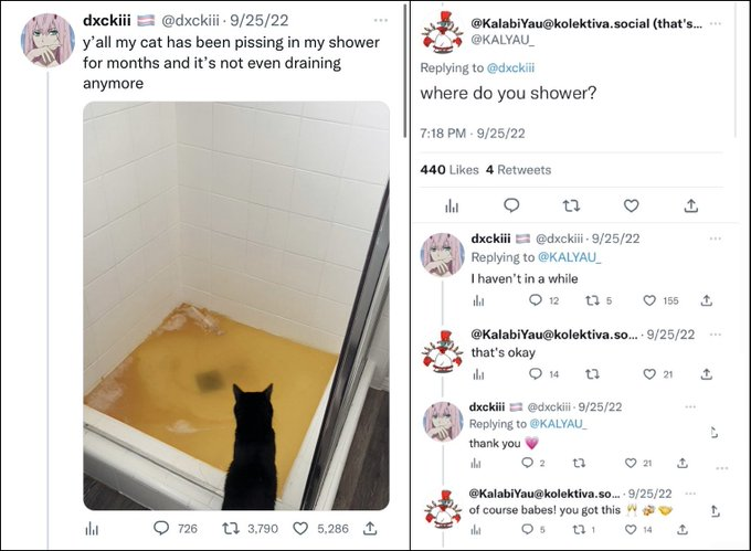 cat troonage.png