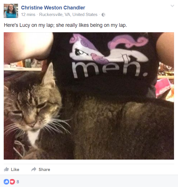 CAT2.png