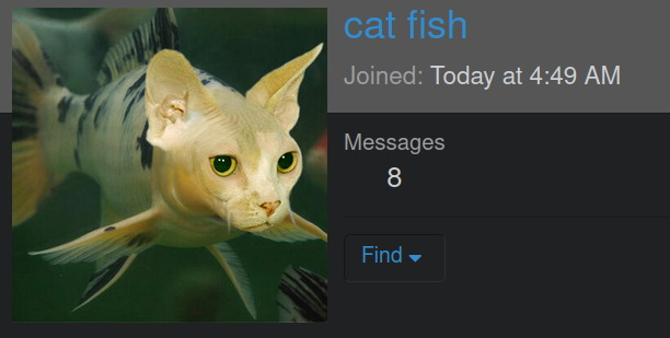 catfish.png