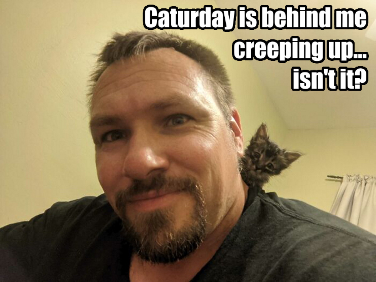 caturday-is-creeping-up-isnt-it-jpg.2734853