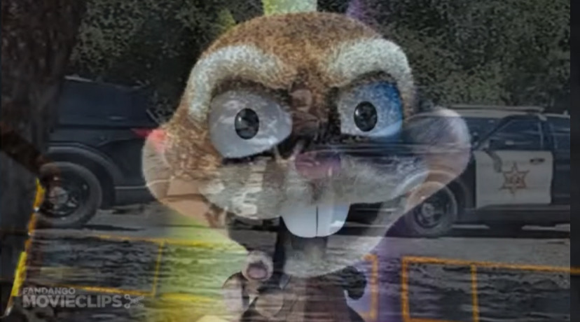 CB12A254-84E8-40F7-B9C4-1AD22A97110E.jpeg