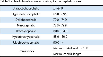 cephalic_index_cutoffs.jpeg