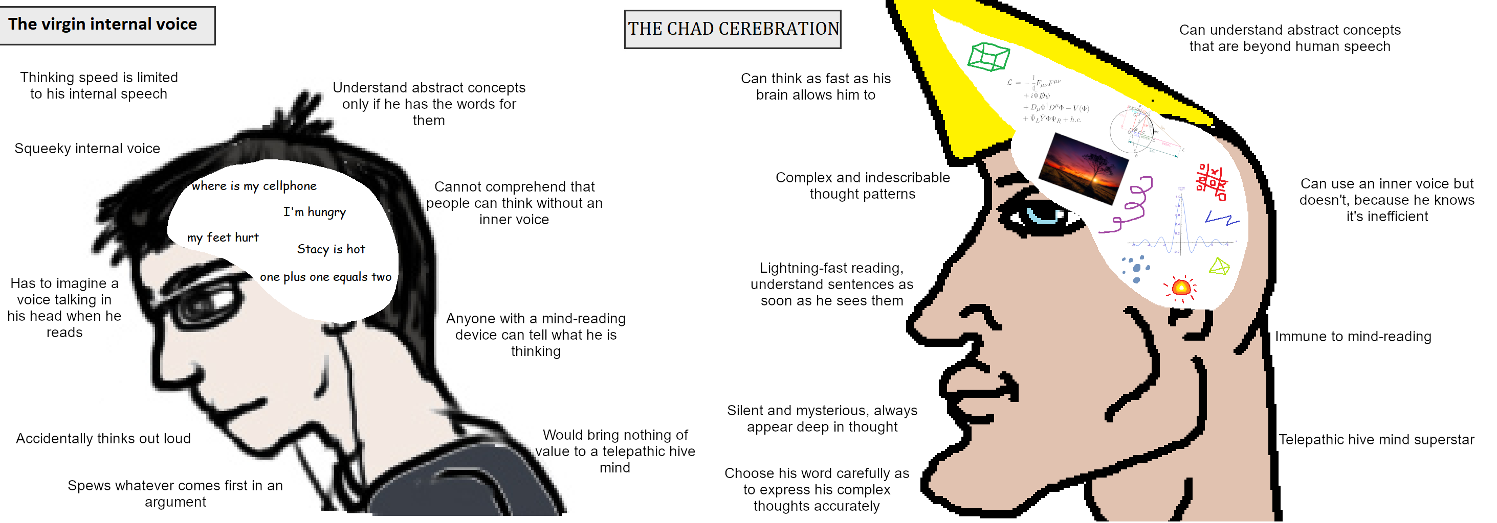 cerebration.png