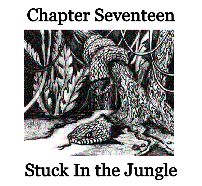 chap 17.png