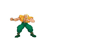 charlie-sonicshell.gif