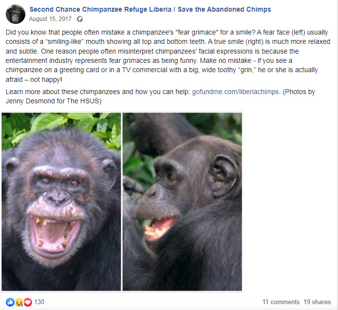 Chimp_fear_face.jpg