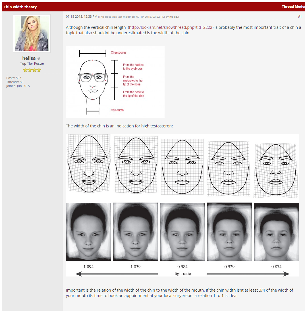 Chin width theory.png