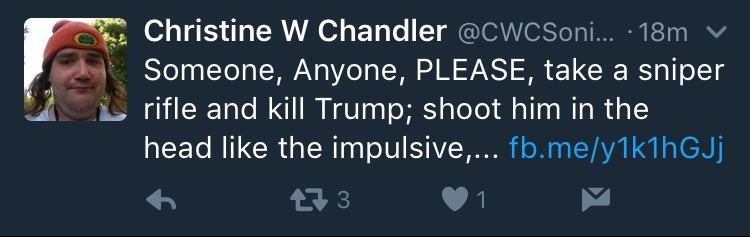 Chris+chan+doesn+t+like+trump+i+think+he+is+confused+again_8210c3_6087228.jpg