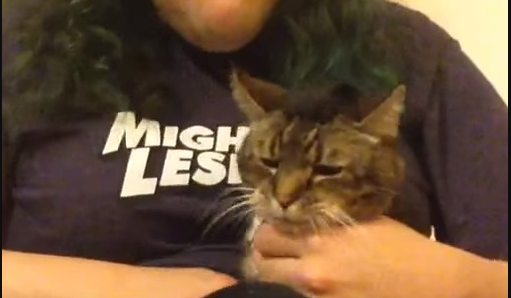 chrisnokitty.PNG