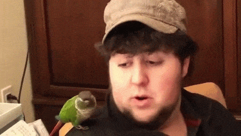 chuc2f.gif