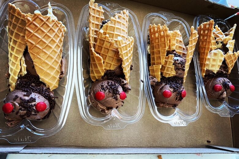 cicada sundaes.jpeg