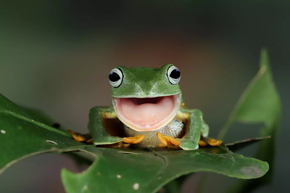 ClipboardImage - 2025-04-25T080920.085.webp