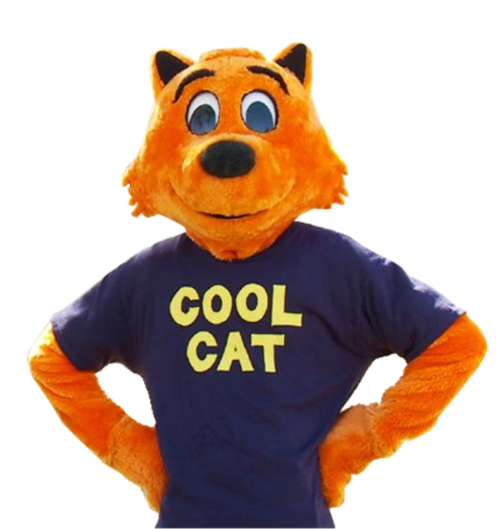 Cool_Cat_Transparent.webp