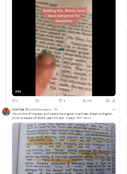coolcattranslation.png