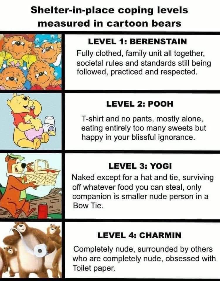 coping levels using bears.jpg