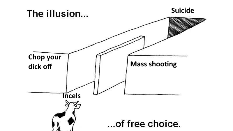 cow.jpeg