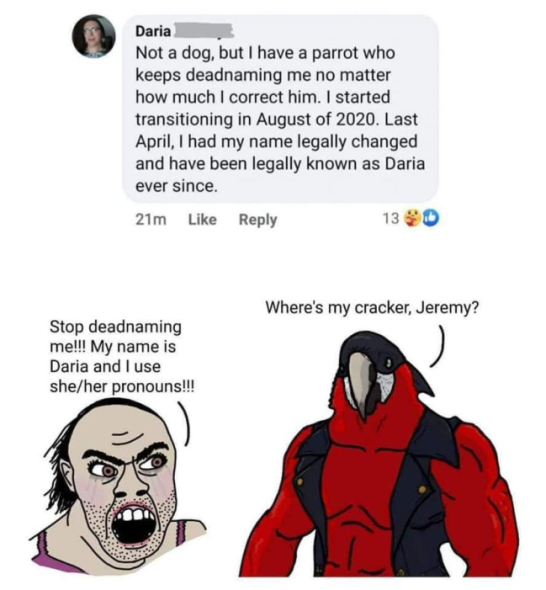Cracker.png