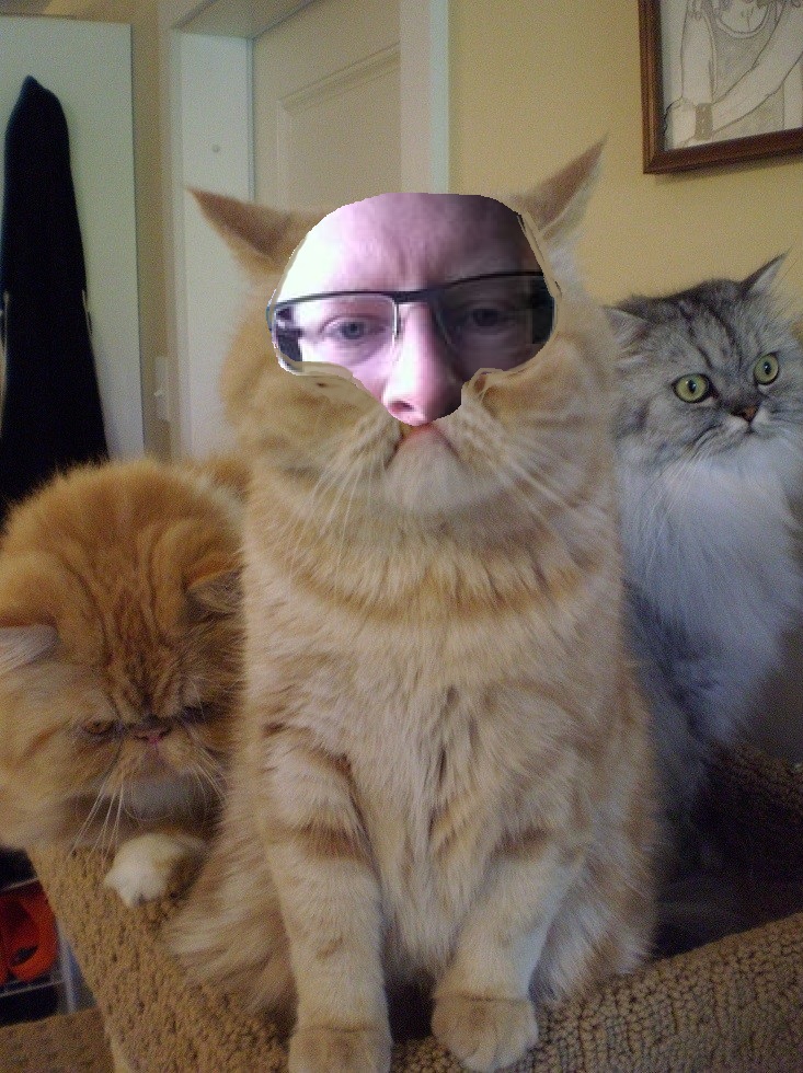cuckcat.jpg