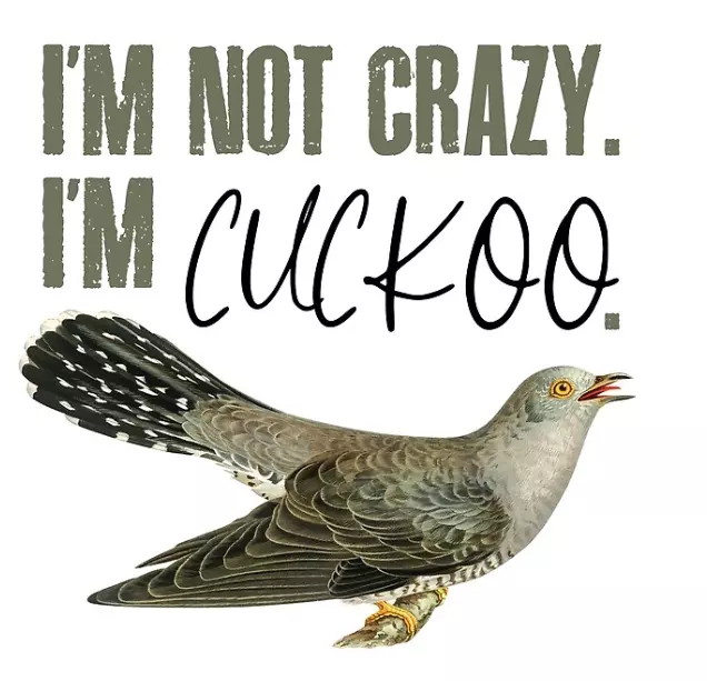 cuckoo crazy troon.webp