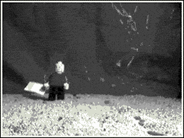 cunt.gif
