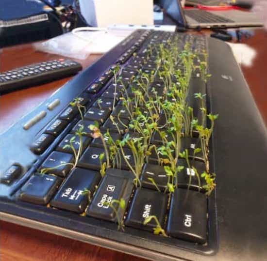 cursed-computer-setups-9.jpeg